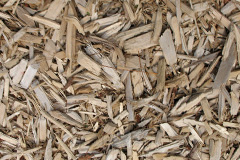 biomass boilers Rhyd